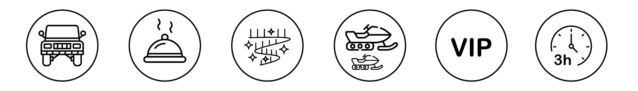 tgf_icons_vip-01
